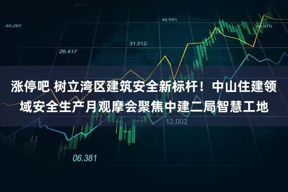 涨停吧 树立湾区建筑安全新标杆！中山住建领域安全生产月观摩会聚焦中建二局智慧工地