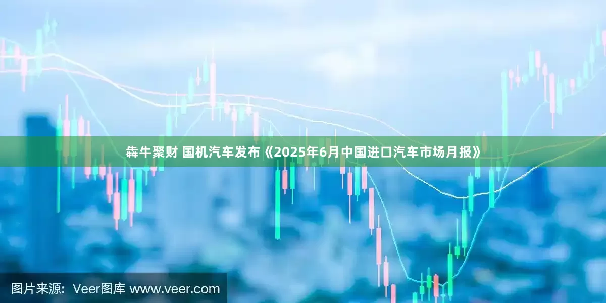 犇牛聚财 国机汽车发布《2025年6月中国进口汽车市场月报》