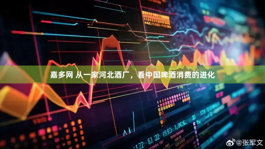 嘉多网 从一家河北酒厂，看中国啤酒消费的进化