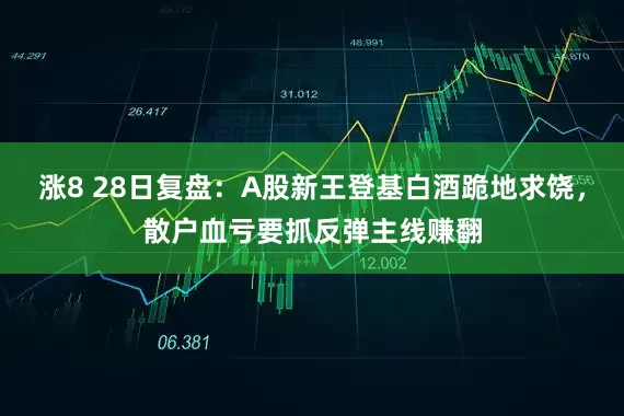 涨8 28日复盘：A股新王登基白酒跪地求饶，散户血亏要抓反弹主线赚翻