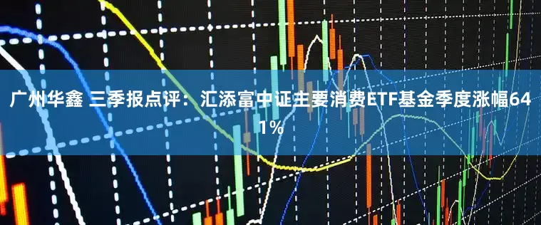 广州华鑫 三季报点评：汇添富中证主要消费ETF基金季度涨幅641%